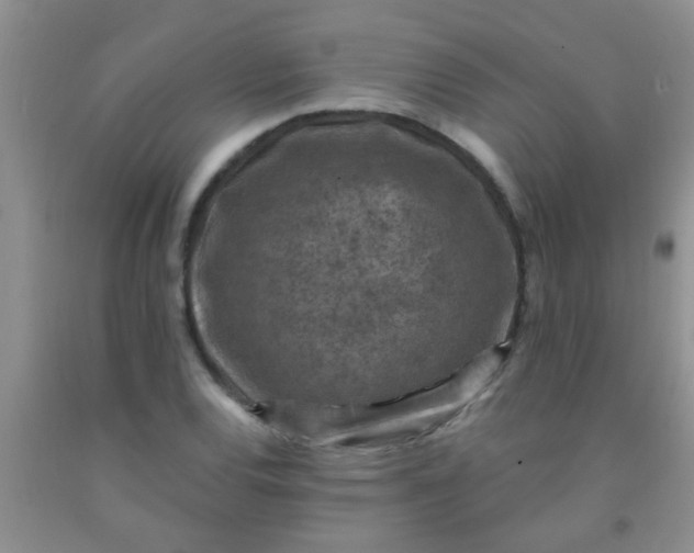 X0000092031120200709201606