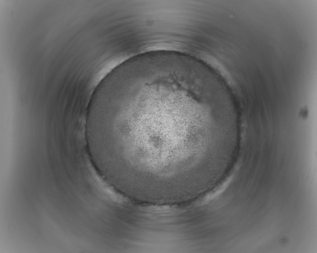 X0000092031121200709201606