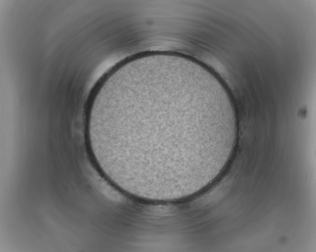 X0000092031122200709201606