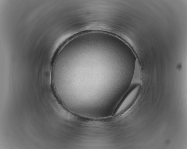 X0000092031123200709201606