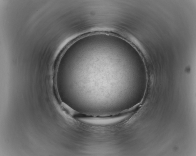 X0000092031124200709201606