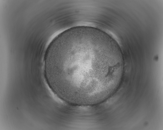 X0000092031125200709201606