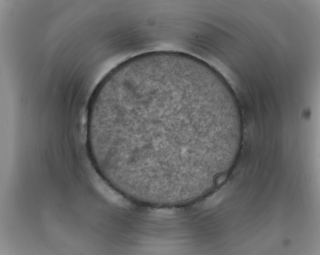 X0000092031126200709201606