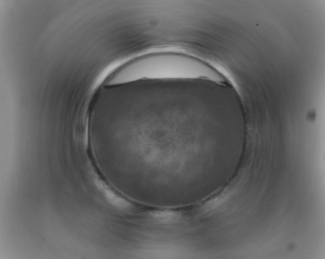 X0000092031127200709201606