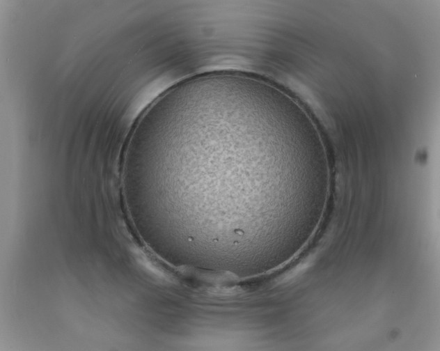 X0000092031129200709201606