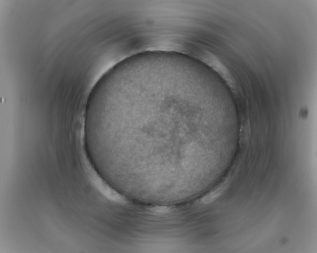 X0000092031130200709201606