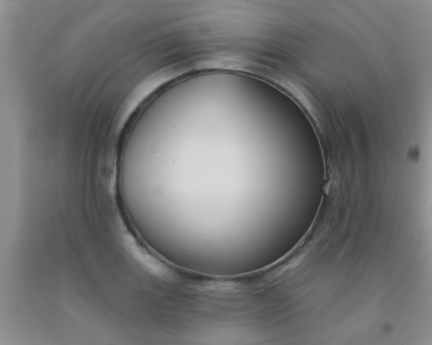 X0000092031131200709201606