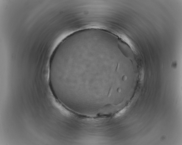 X0000092031132200709201606