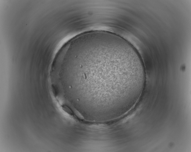 X0000092031133200709201606