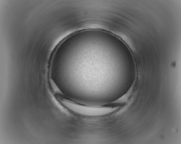 X0000092031134200709201606