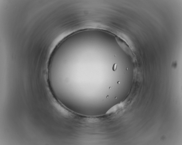 X0000092031136200709201606