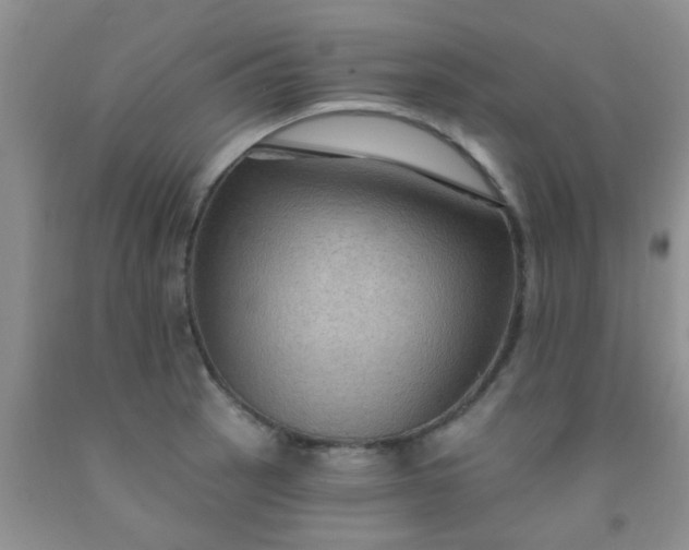 X0000092031137200709201606