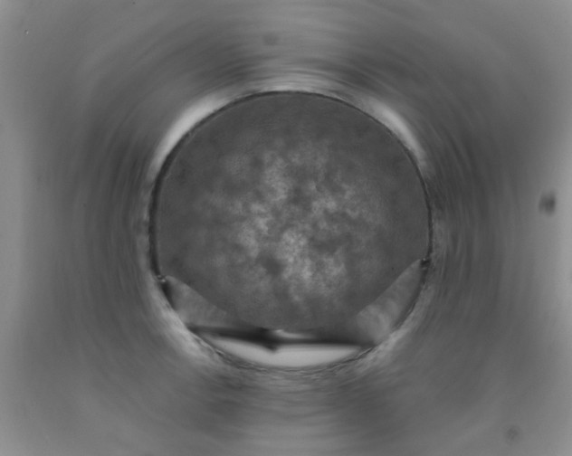 X0000092031138200709201606