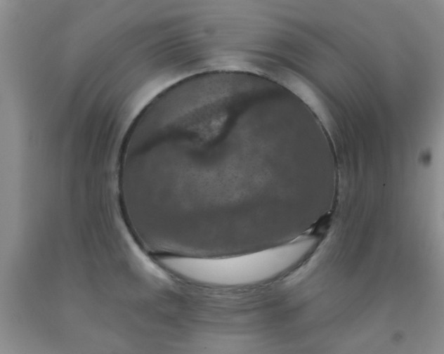 X0000092031141200709201606