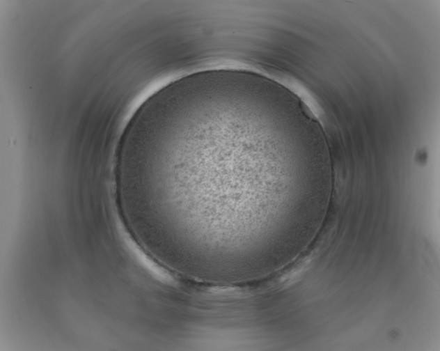 X0000092031142200709201606