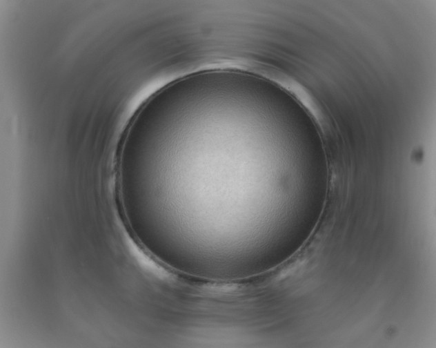 X0000092031143200709201606