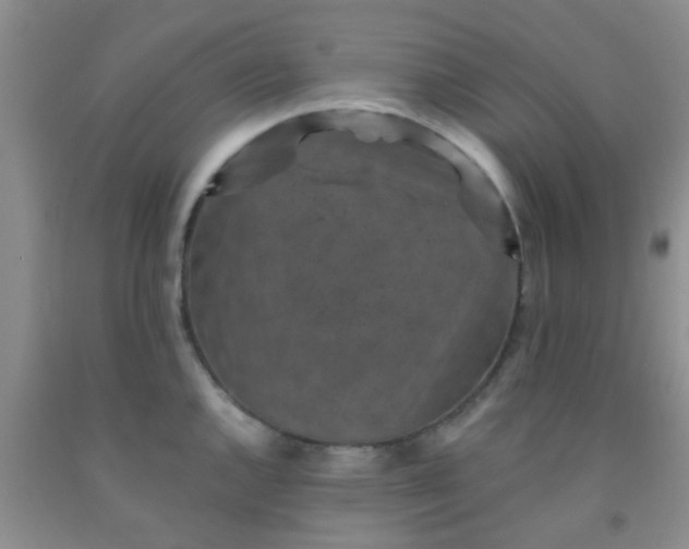 X0000092031144200709201606