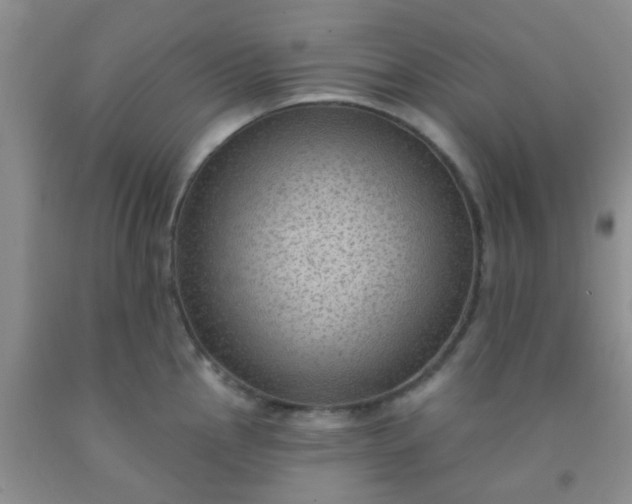 X0000092031145200709201606