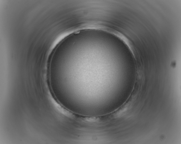 X0000092031147200709201606