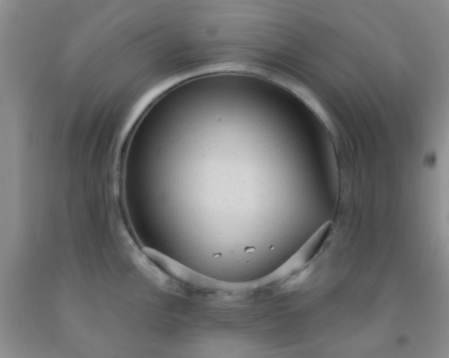 X0000092031148200709201606