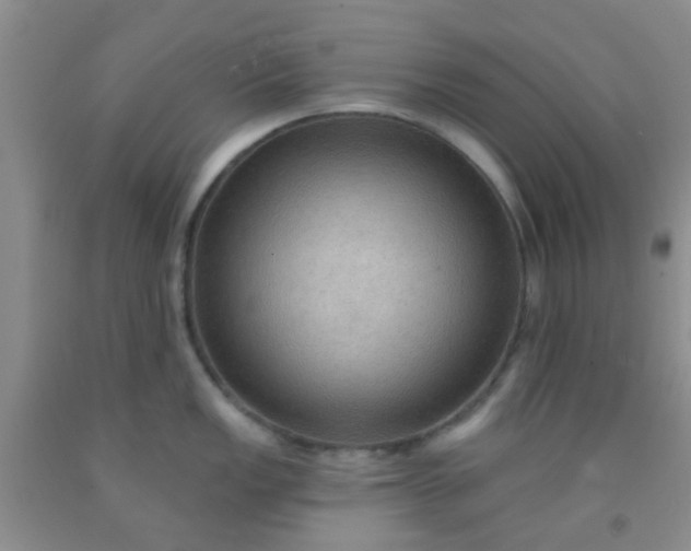 X0000092031149200709201606