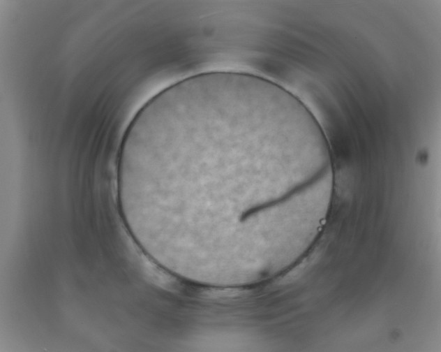 X0000092031150200709201606