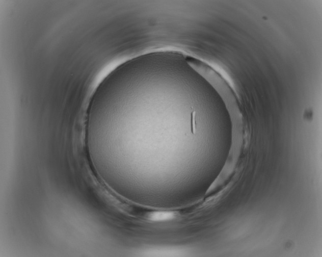 X0000092031151200709201606