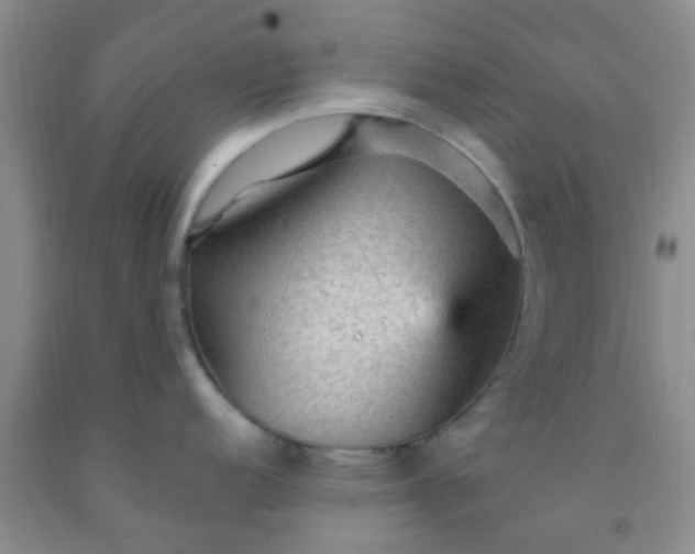 X0000092031152200709201606