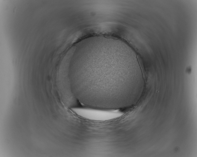 X0000092031153200709201606