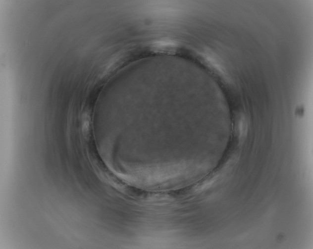 X0000092031154200709201606