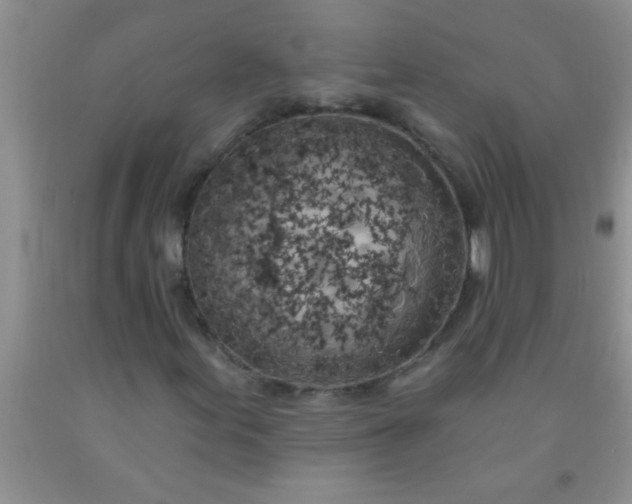 X0000092031155200709201606