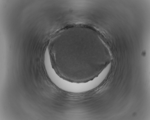 X0000092031156200709201606