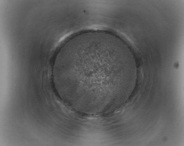 X0000092031158200709201606