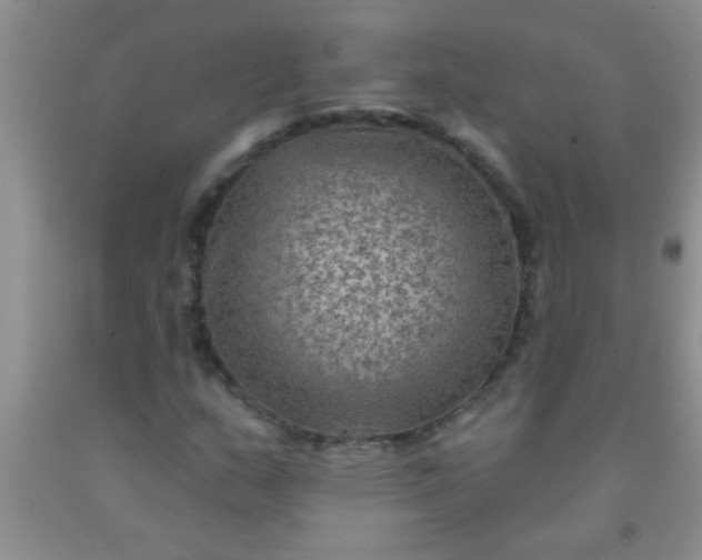 X0000092031159200709201606