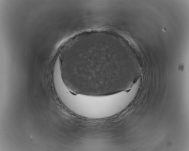 X0000092031160200709201606