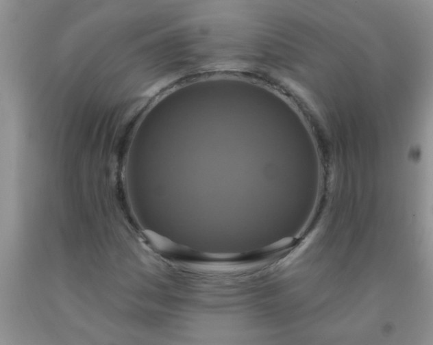 X0000092031161200709201606