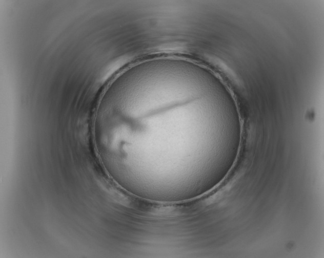 X0000092031162200709201606