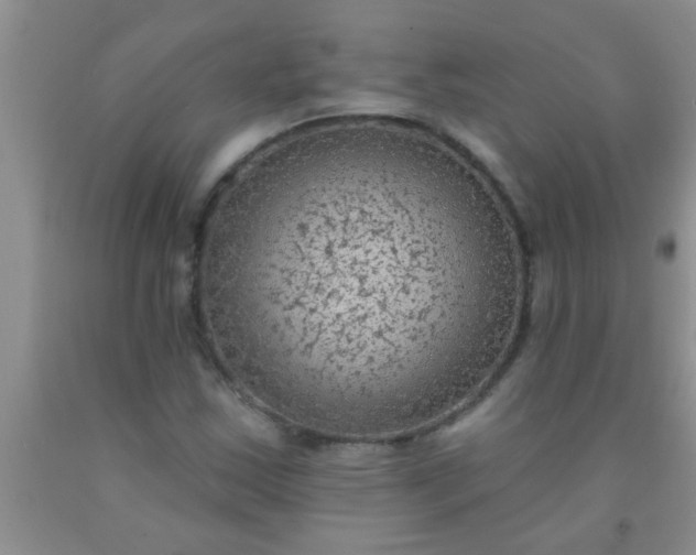 X0000092031163200709201606