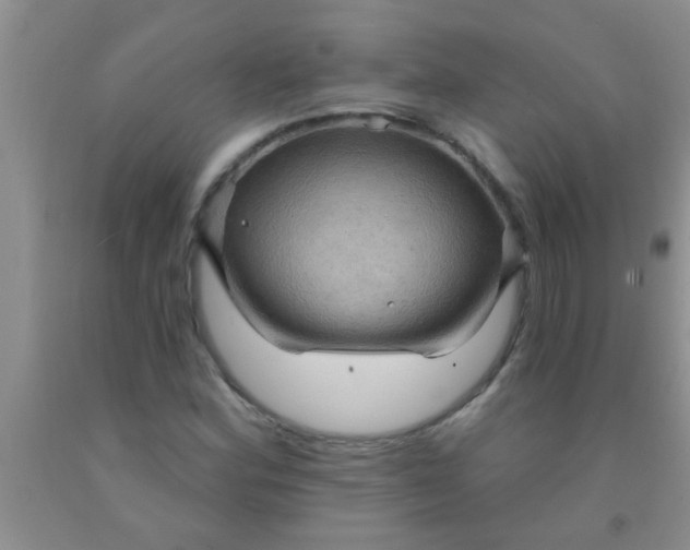 X0000092031164200709201606