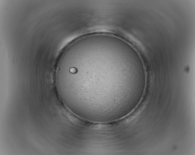 X0000092031166200709201606