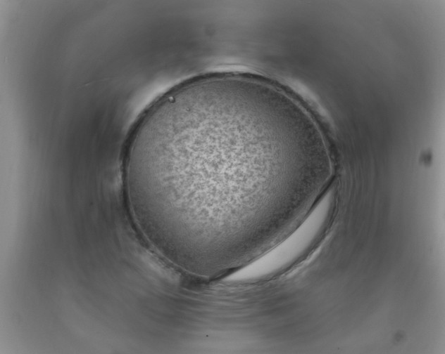 X0000092031167200709201606