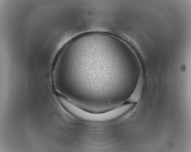 X0000092031168200709201606