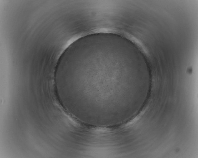 X0000092031170200709201606