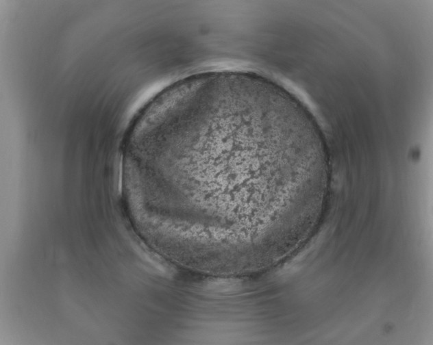 X0000092031171200709201606