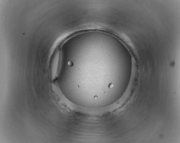 X0000092031172200709201606