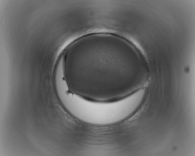 X0000092031173200709201606