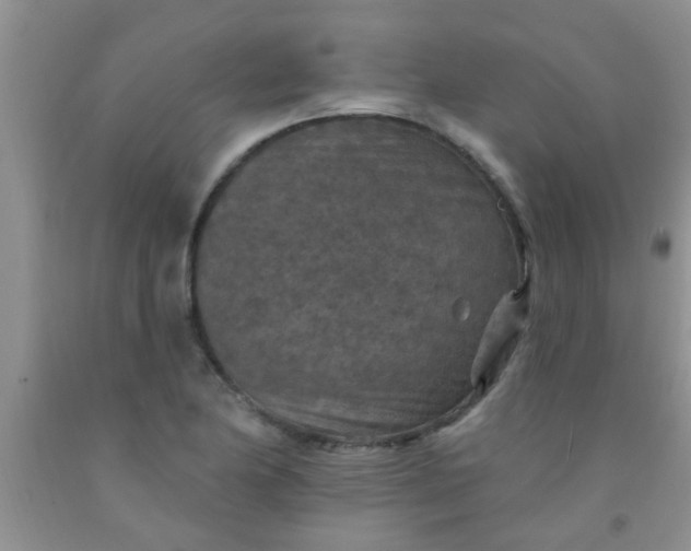 X0000092031174200709201606