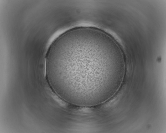 X0000092031175200709201606