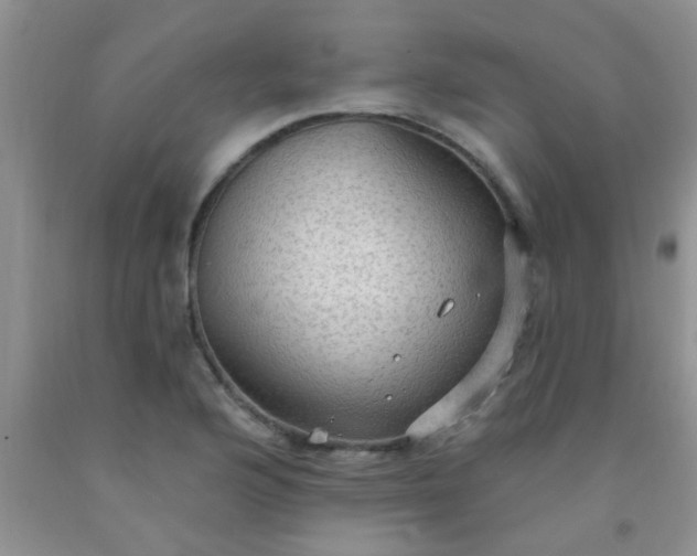 X0000092031176200709201606