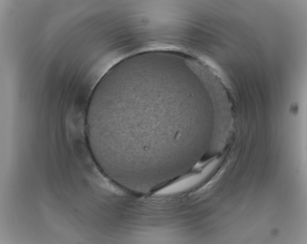 X0000092031177200709201606